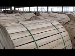 ASTM BS Todo conductor de aluminio para líneas aéreas de transmisión