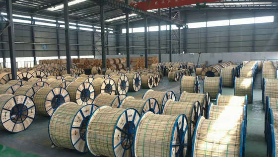 Los conductores en conjunto aéreos XPLE AAC AAAC ACSR Conductor de aluminio